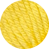 Daffodil Yellow